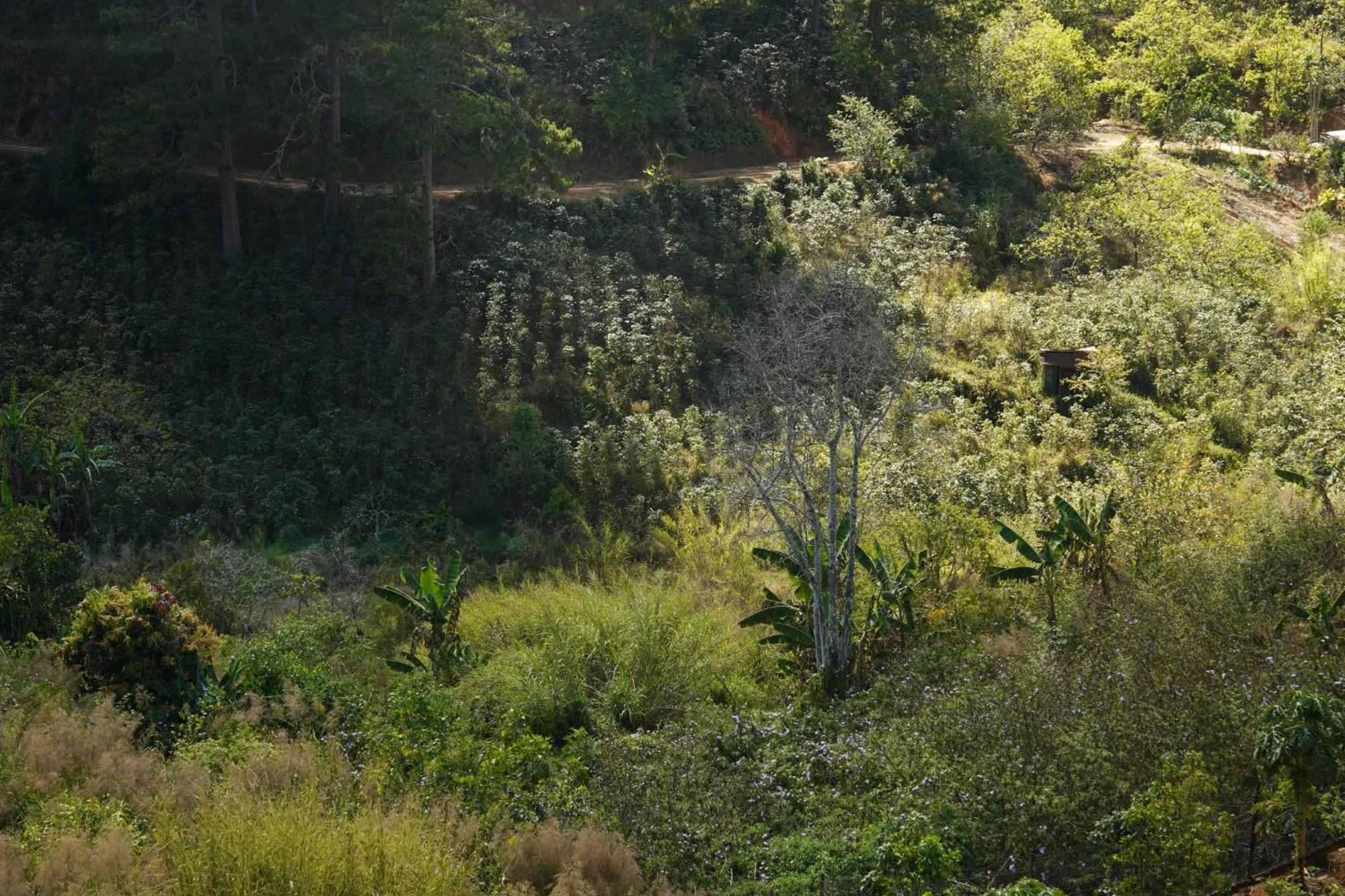 Emai Valley Da Lat Esterno foto